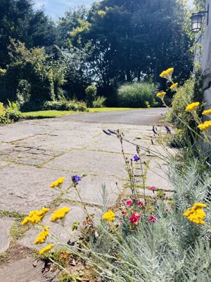 Photo 29- click for photo gallery